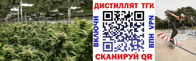 Купить  Магас  ТГК жижа 