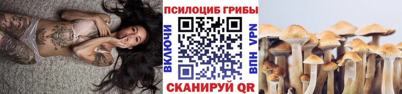 Купить закладки  Магас  Галлюциногенные грибы ЛСД 