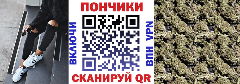 Купить закладки  Магас  Бошки марихуана THC 21% 